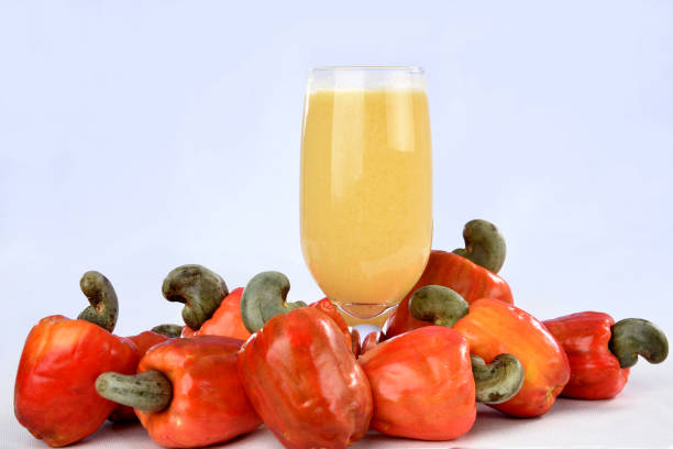 Maguary Concentrate Cashew Juice 500ml